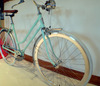 schwinn collegiate conversion photo