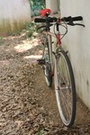 1992 Schwinn Crossfit photo