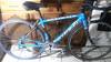 Schwinn Fastback (Rawberta) photo