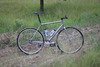 Schwinn FGCX photo