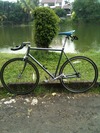 schwinn fixed gear photo