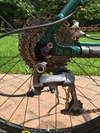 Schwinn Homegrown 26" photo