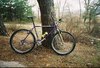 schwinn mtb photo