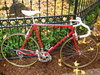 Schwinn Paramount SLX photo