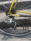 Schwinn Peloton photo
