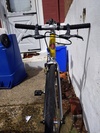 Schwinn Peloton photo