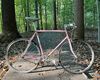 Schwinn Prelude 1987 photo