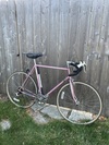 Schwinn Prelude (Ice Pink) photo