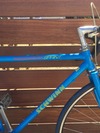 Schwinn Sprint SS photo