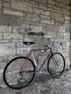 Schwinn Super Sport photo