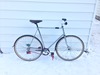 Chrome, 1977 Schwinn Super Le Tour 12.2 photo