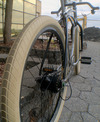 schwinn typhoon 'path racer' photo