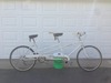 Schwinn Vista Duo rescue photo