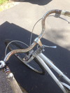 Schwinn Vista Duo rescue photo