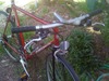 Schwinn World Lite photo