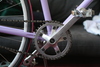 Schwinn World Sport conversion photo