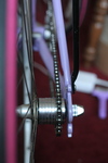 Schwinn World Sport conversion photo