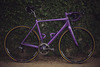 Scott Addict Custom Princecycling ed. photo