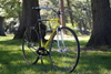 Serotta Davis Phinney Fixed Gear photo