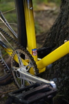 Serotta Davis Phinney Fixed Gear photo