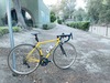 Serotta Fierte photo
