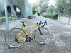 Serotta Fierte photo