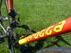 Serotta Legend Ti photo