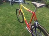 Serotta Titanium photo