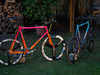 Serotta tri colorado 650c photo