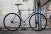 siberian giro njs photo