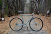 siberian giro njs photo