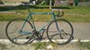 Siberian Gitane Pista (for sale) photo