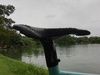 Silotype made in thailand photo
