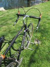 Simoncini Cyclocross Special photo