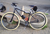 Single Speed 29er photo