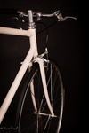 Singlespeed Oyster-White photo