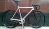 Sir Dale 93'-94' Polished. photo