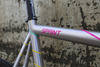 SKREAM BIKES :: SPRINT (RAW) photo