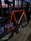 skream Magnum Orange 2020 photo