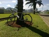 United Soloist 1 photo