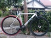Soloist 77 photo