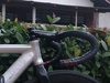 Soloist 77 photo