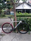Soloist 77 photo