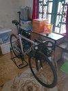 Soloist 77 photo