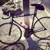 Soma Rush photo