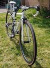 Soma Smoothie (RIM) photo