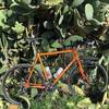 Soma Wolverine photo