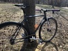 SpaceCoastPurrp (Cinelli Tutto) photo