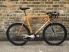 Sparkly Samson NJS photo