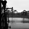 Specialized Allez photo
